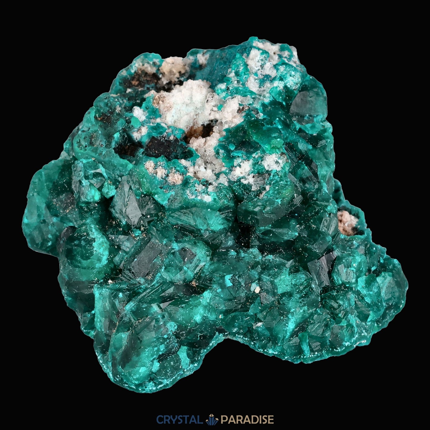 Dioptas aus dem Kongo (40,6) - crystal paradise