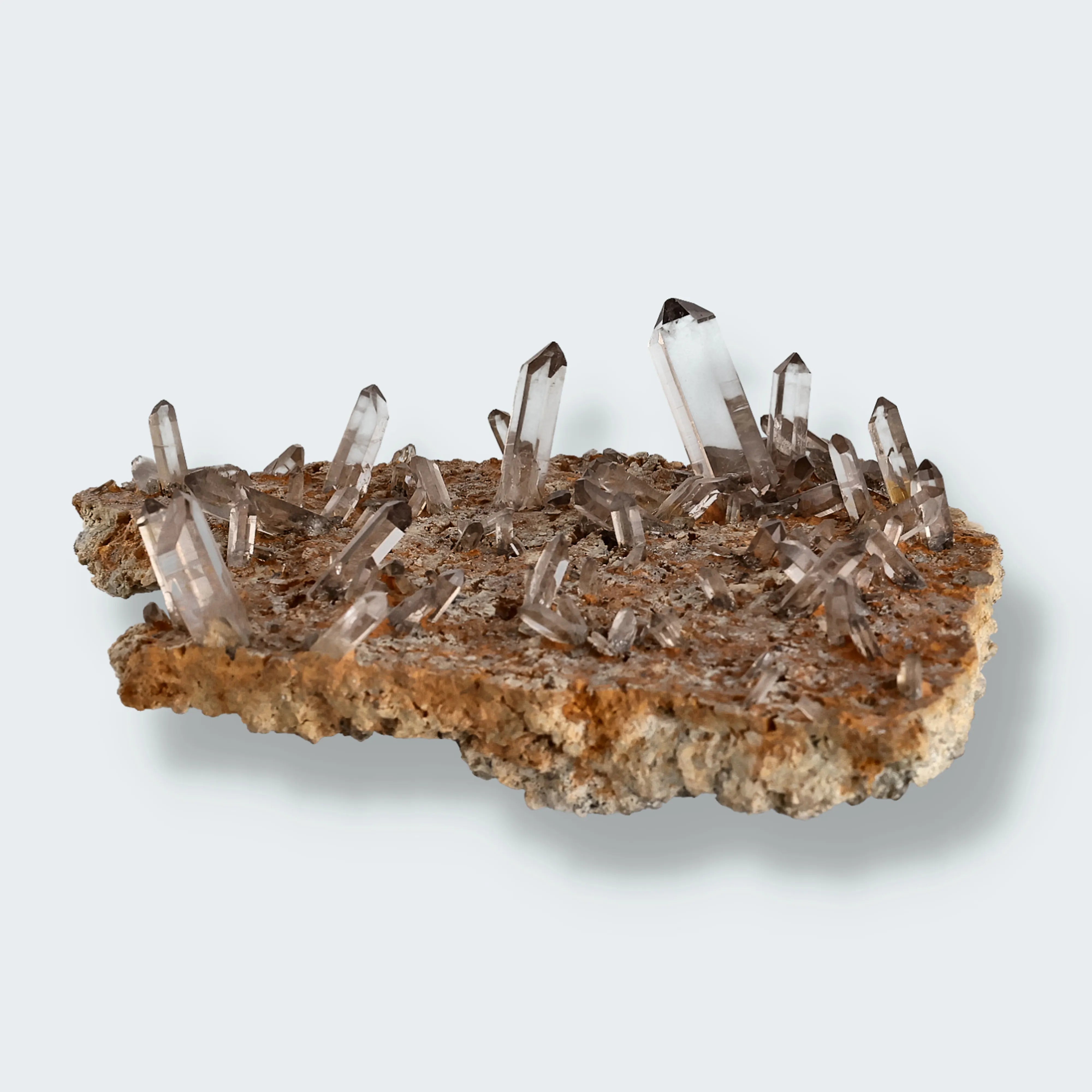 Rauchquarz aus der Murmeltierkluft, Schweiz (386g)