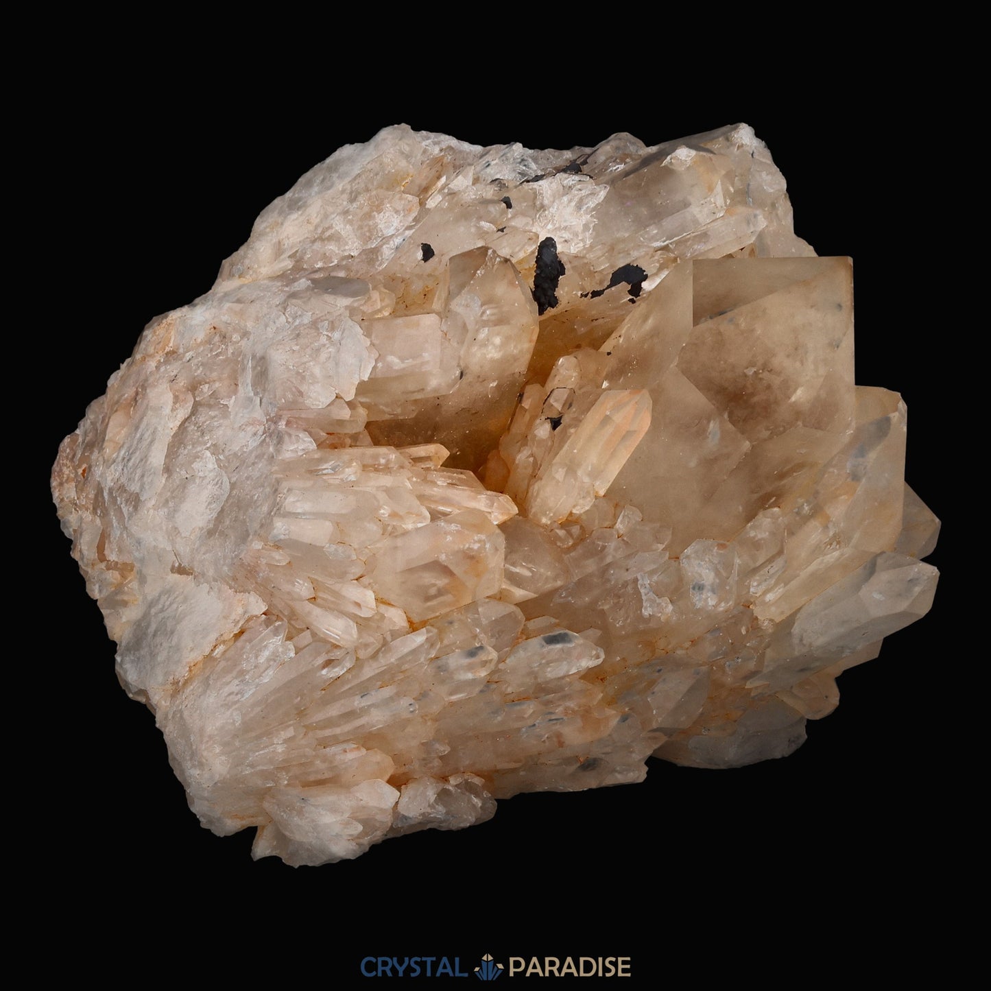 Citrin Handstufe aus Kunduluni, Kongo (543g) - unbehandelt - crystal paradise