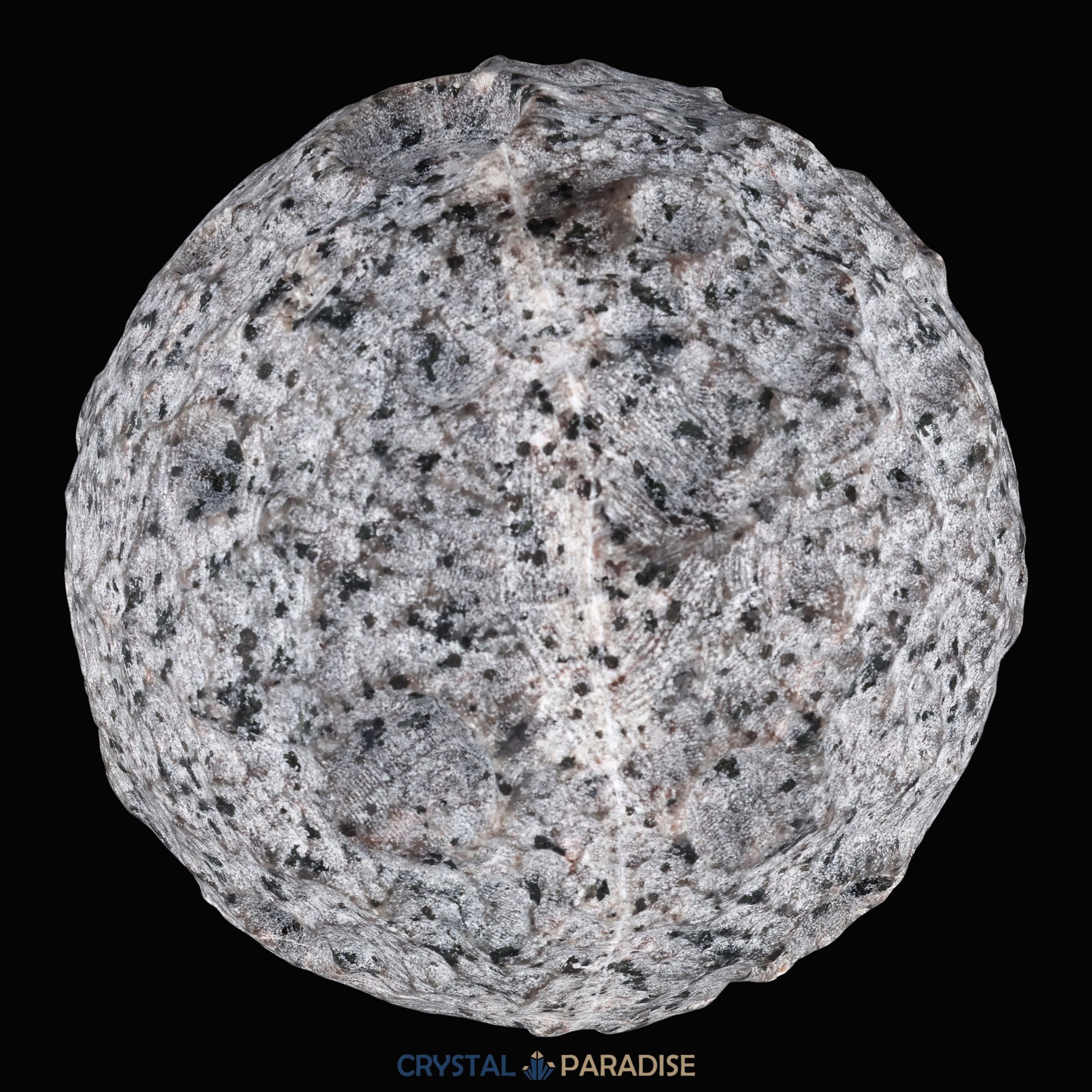 Yooperlit Mond aus Michigan USA (1500g) - Glowing Rock - UV reaktiv – Ansicht 13