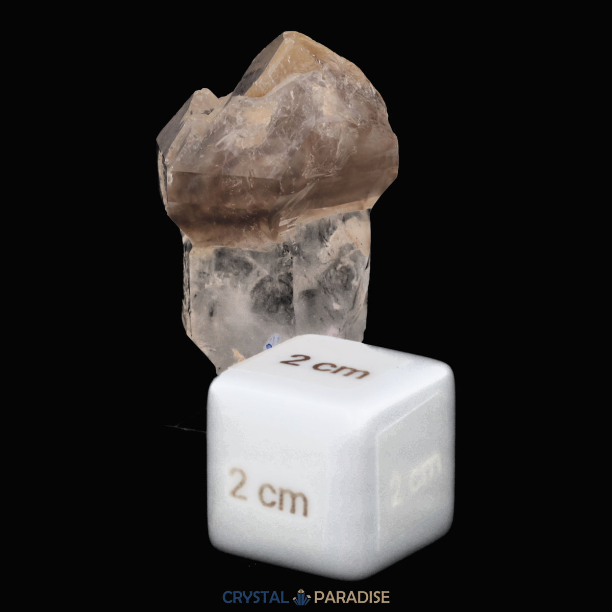 Zepter Rauchquarz mit Fensterwachstum aus Namibia (30g) – Ansicht 3