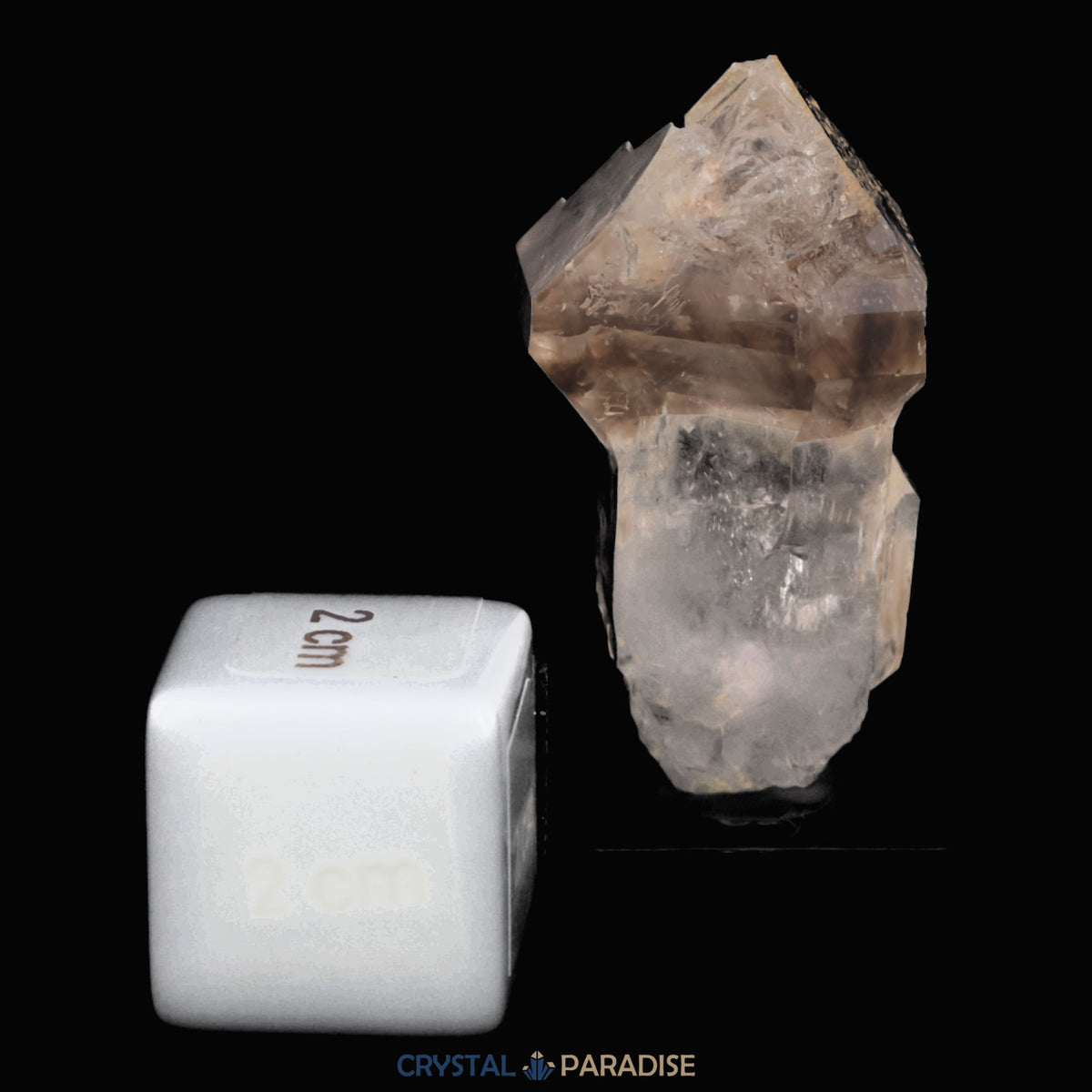 Zepter Rauchquarz mit Fensterwachstum aus Namibia (30g) – Ansicht 4