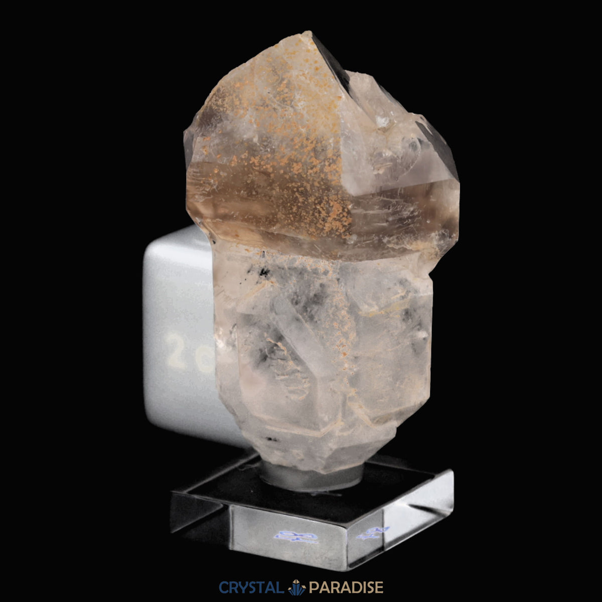 Zepter Rauchquarz mit Fensterwachstum aus Namibia (30g) – Ansicht 6