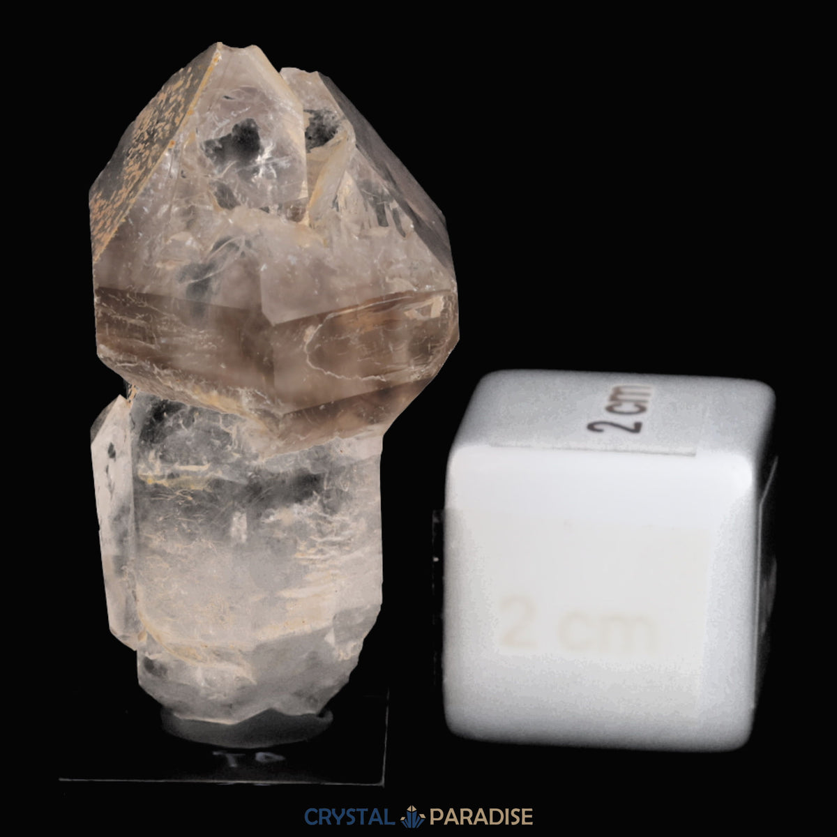Zepter Rauchquarz mit Fensterwachstum aus Namibia (30g) – Ansicht 7