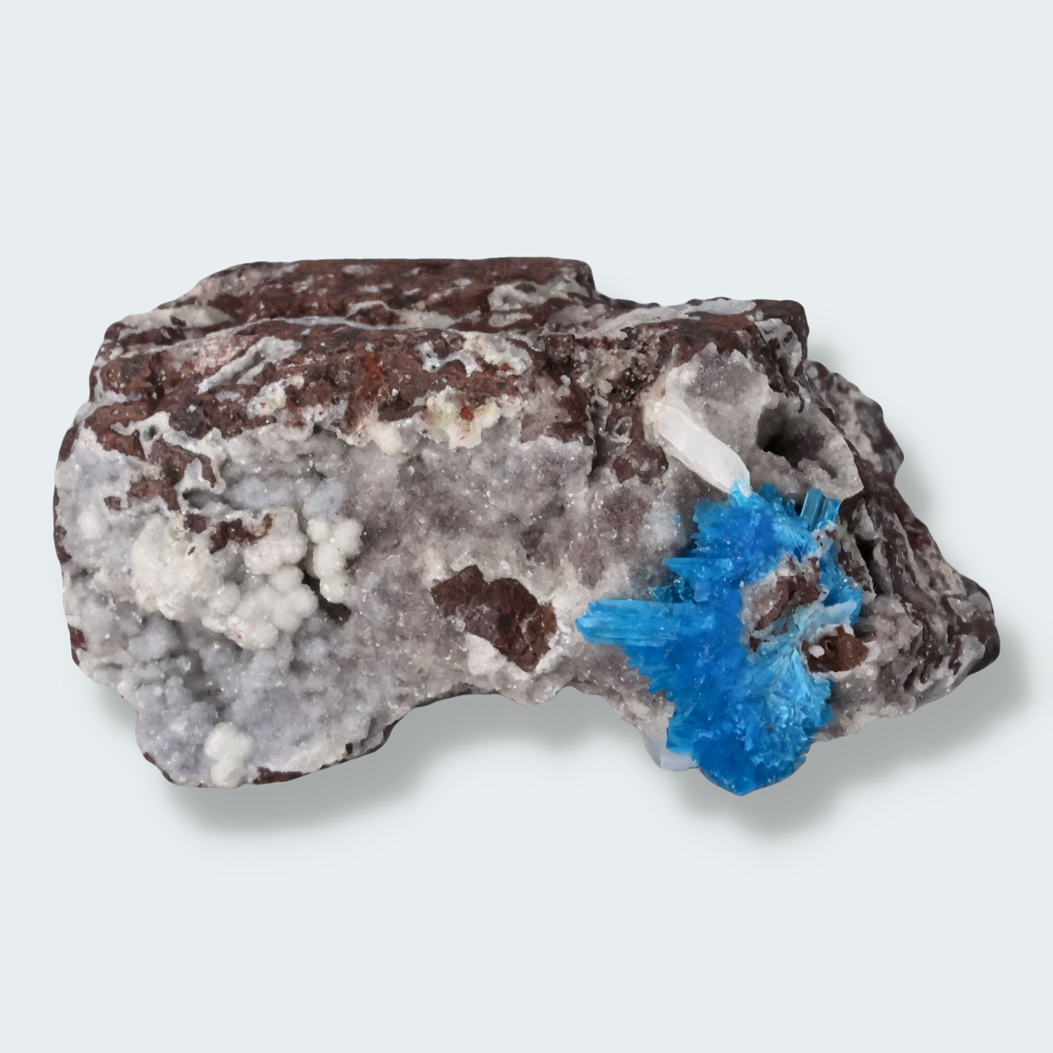 Steinart - Canvansit