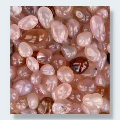 Chalcedon