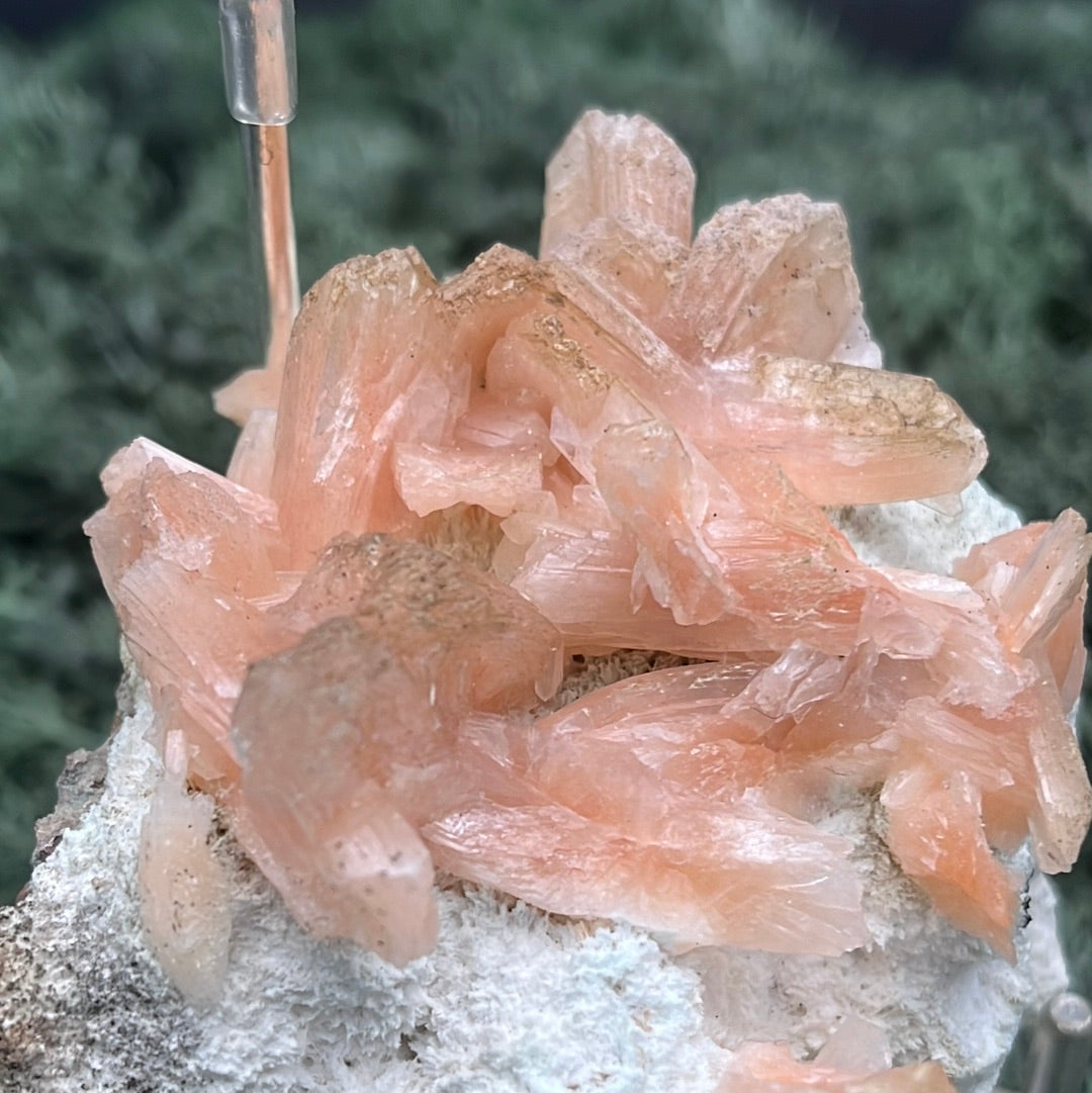 Stilbit Cluster Stufe auf Zeolith aus Indien (160g) - viele grosse Kristalle - crystal paradise