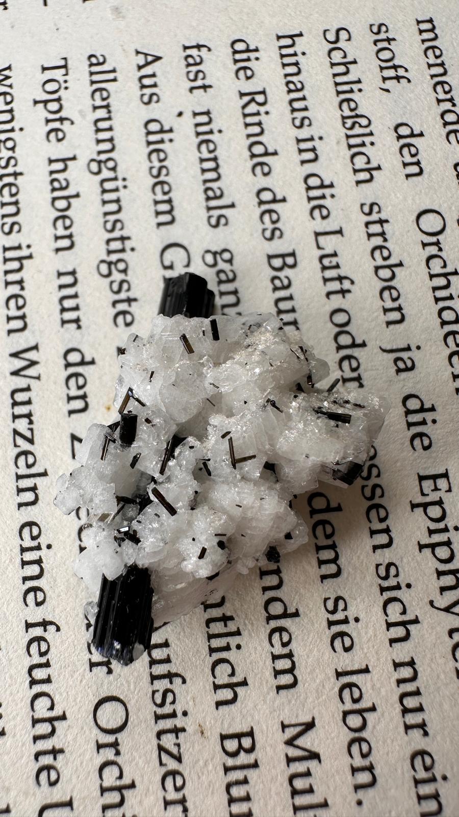 Schwarzer Schörl Turmalin an Himalaya Bergkristall (4g) - crystal paradise