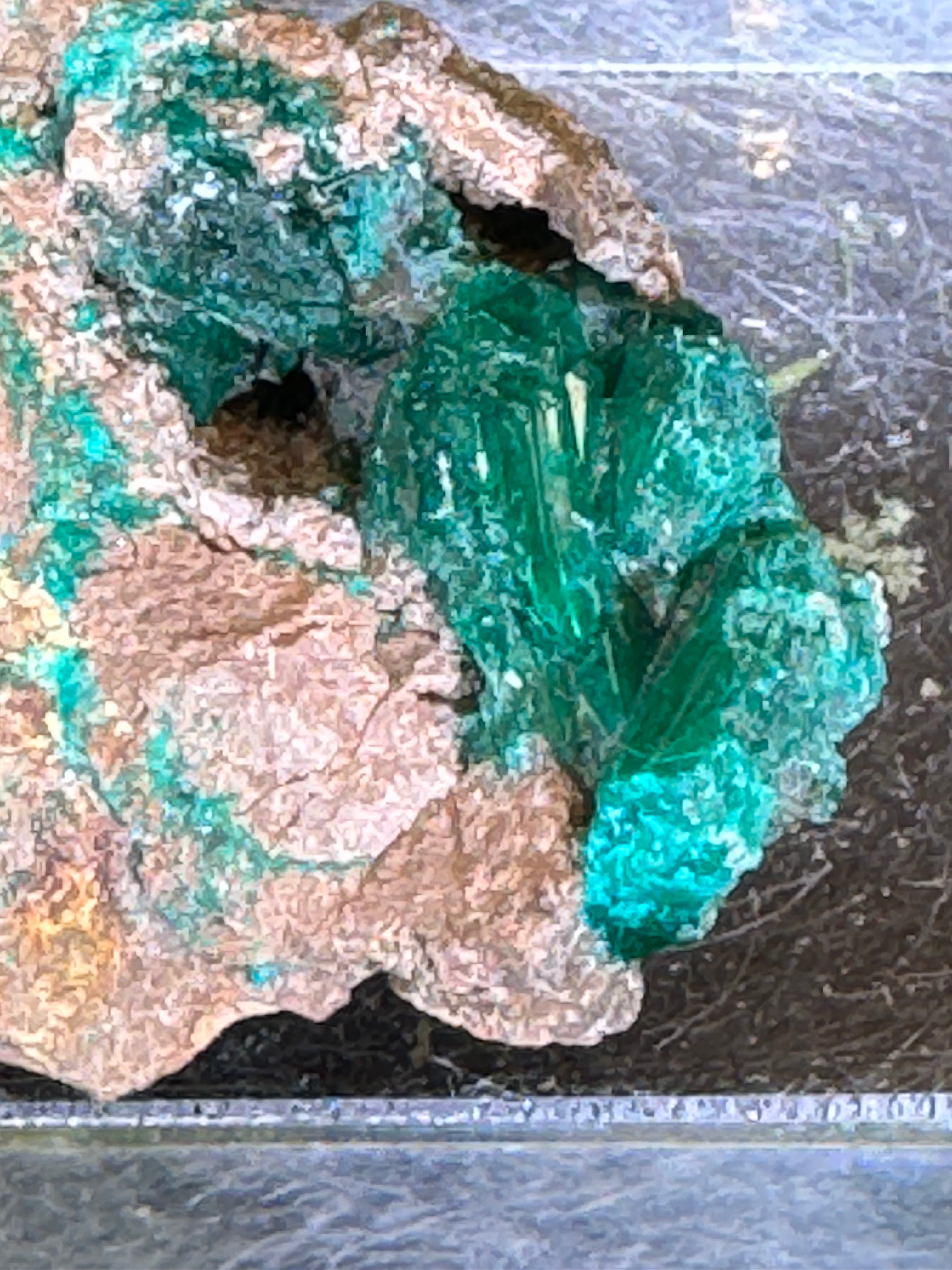 Dioptas aus Mindouli (26g) - exquisites smaragdgrün - crystal paradise