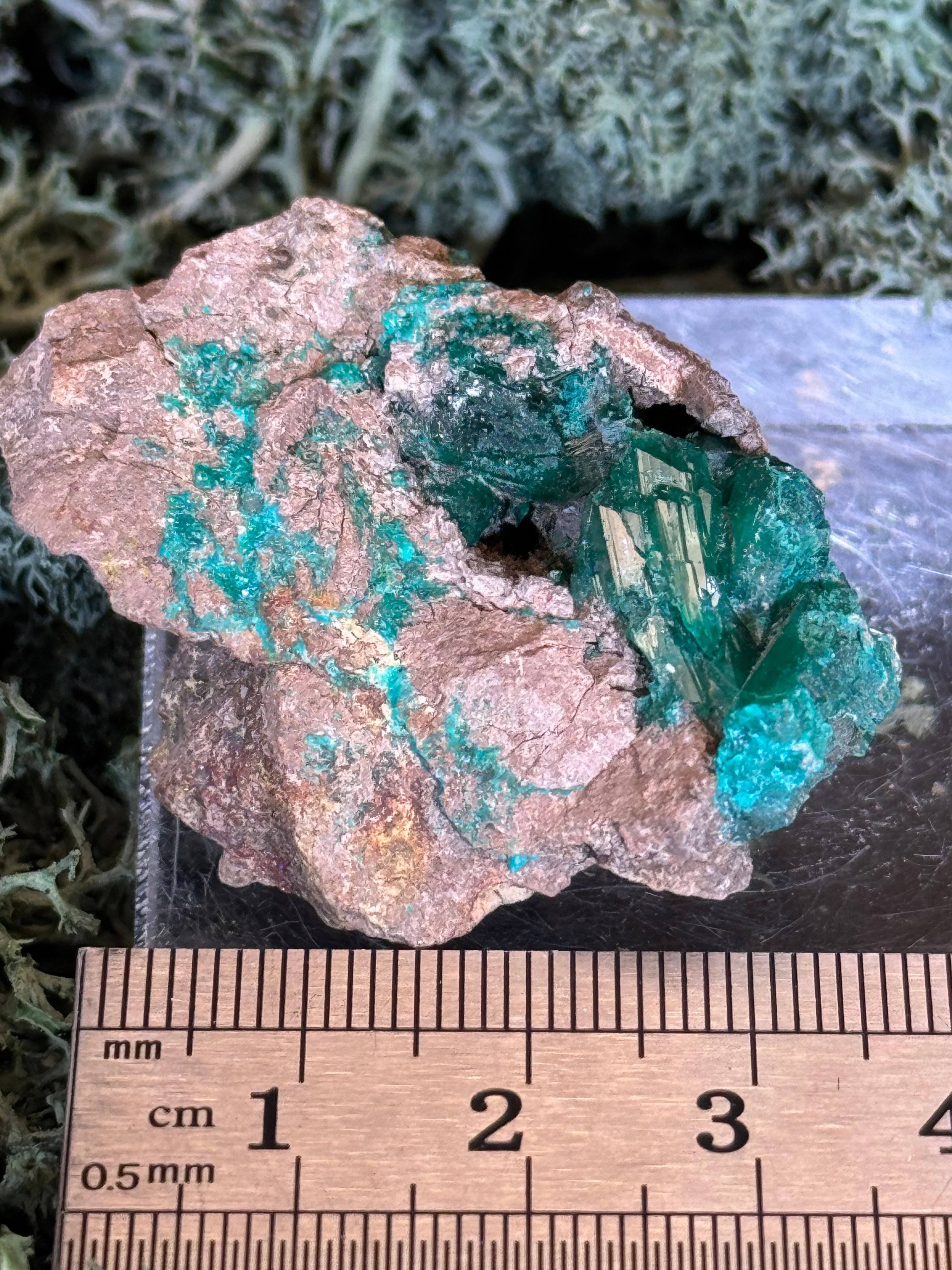 Dioptas aus Mindouli (26g) - exquisites smaragdgrün - crystal paradise