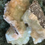 Apophyllite Stilbite Cluster from India (78g)