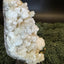 Apophyllite Stilbite XXL Cluster from India (1637g) - large cube crystals and pink stilbite coating