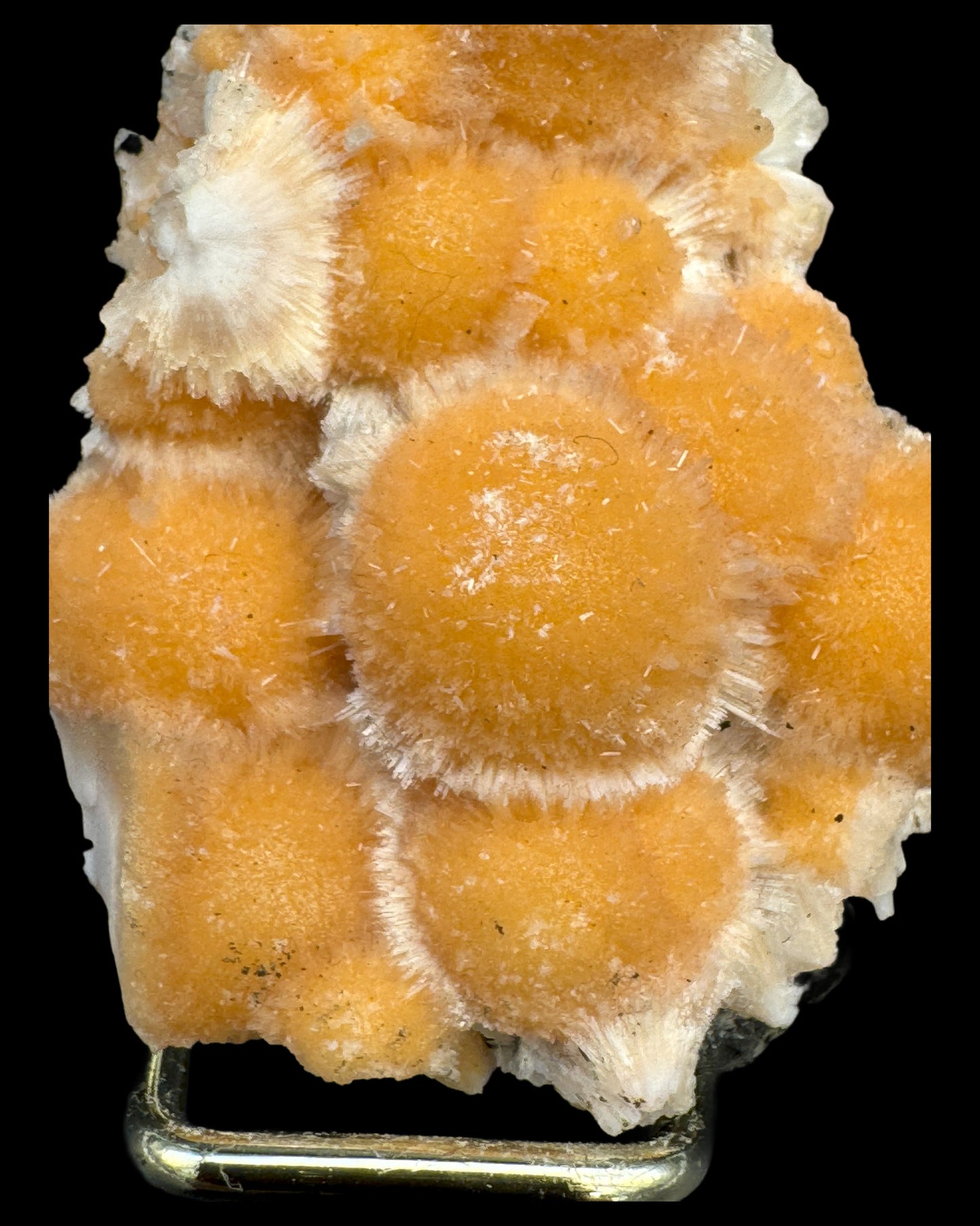 Thomsonite from India (46g) - specimen - bright orange colour, many beautiful spherical formations on the parent rock 