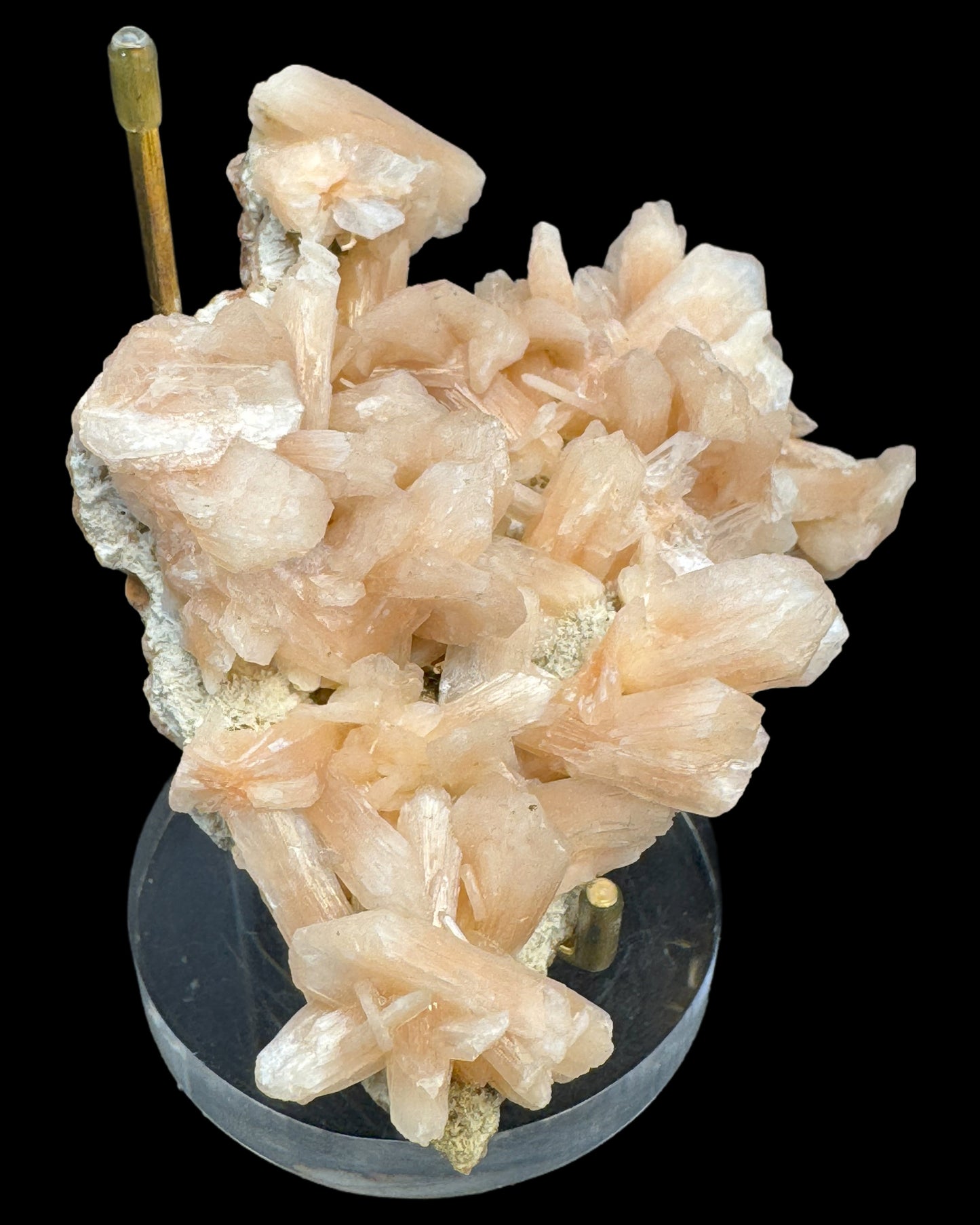 Stilbite cluster specimen on zeolite from India (164g) - many large crystals 