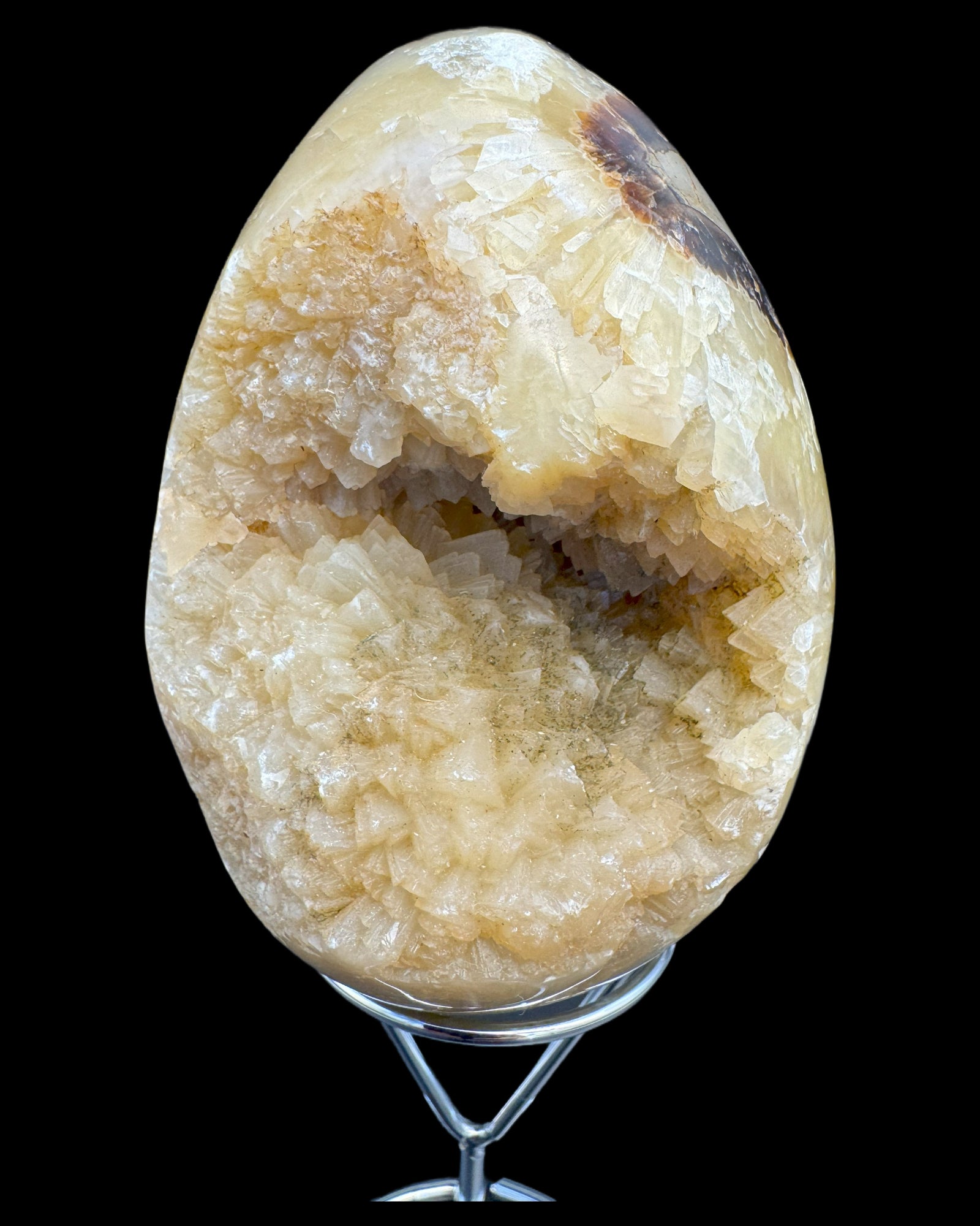 Septarie Ei (561g) - gross mit sehr schöne Druzys - crystal paradise