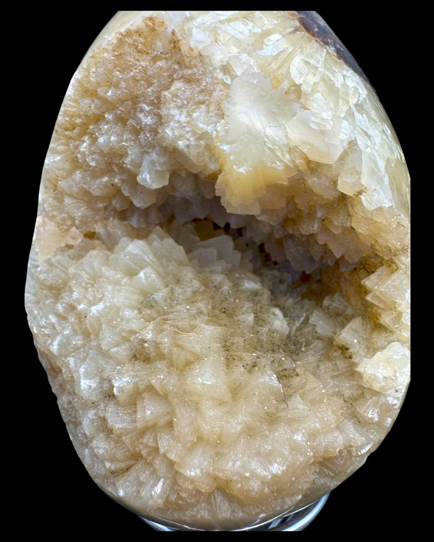 Septarie Egg (561g) - large with very beautiful druzys