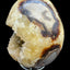 Septarie Egg (561g) - large with very beautiful druzys