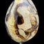 Septarie Egg (561g) - large with very beautiful druzys