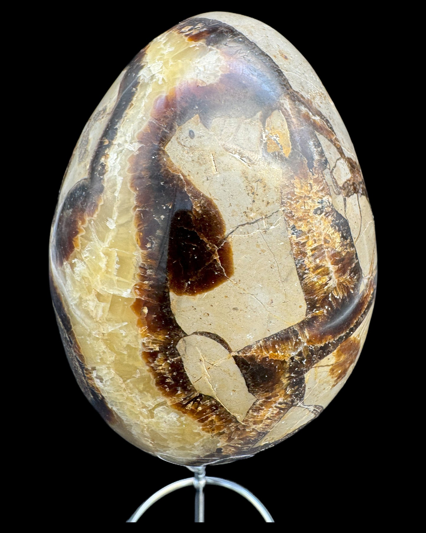 Septarie Egg (561g) - large with very beautiful druzys