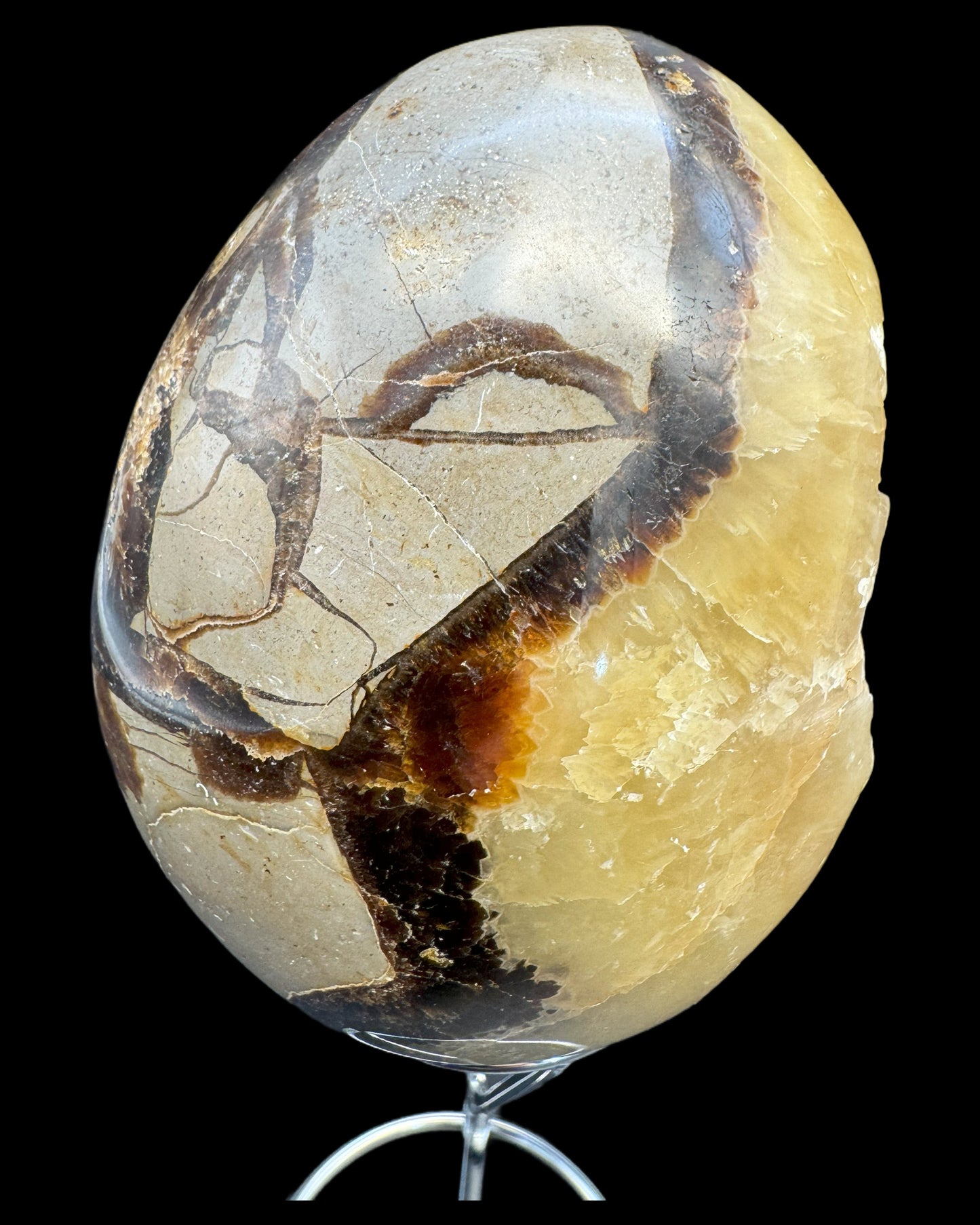 Septarie Egg (561g) - large with very beautiful druzys