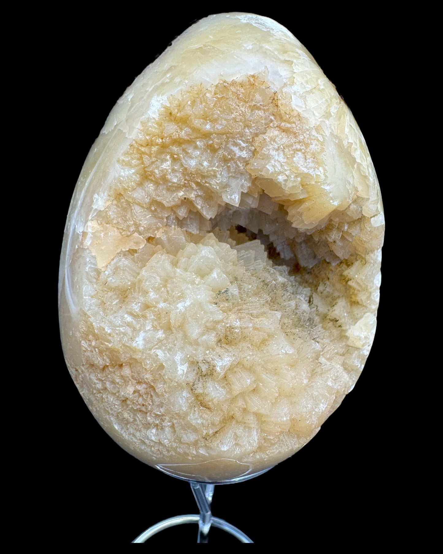 Septarie Egg (561g) - large with very beautiful druzys