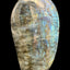 Labradorite Freeform from Madagascar (1333g) - fantastic play of colors all around 