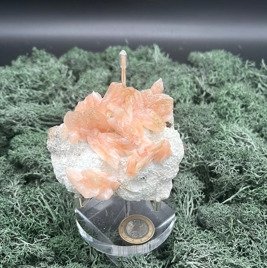 Stilbit Cluster Stufe auf Zeolith aus Indien (160g) - viele grosse Kristalle - crystal paradise