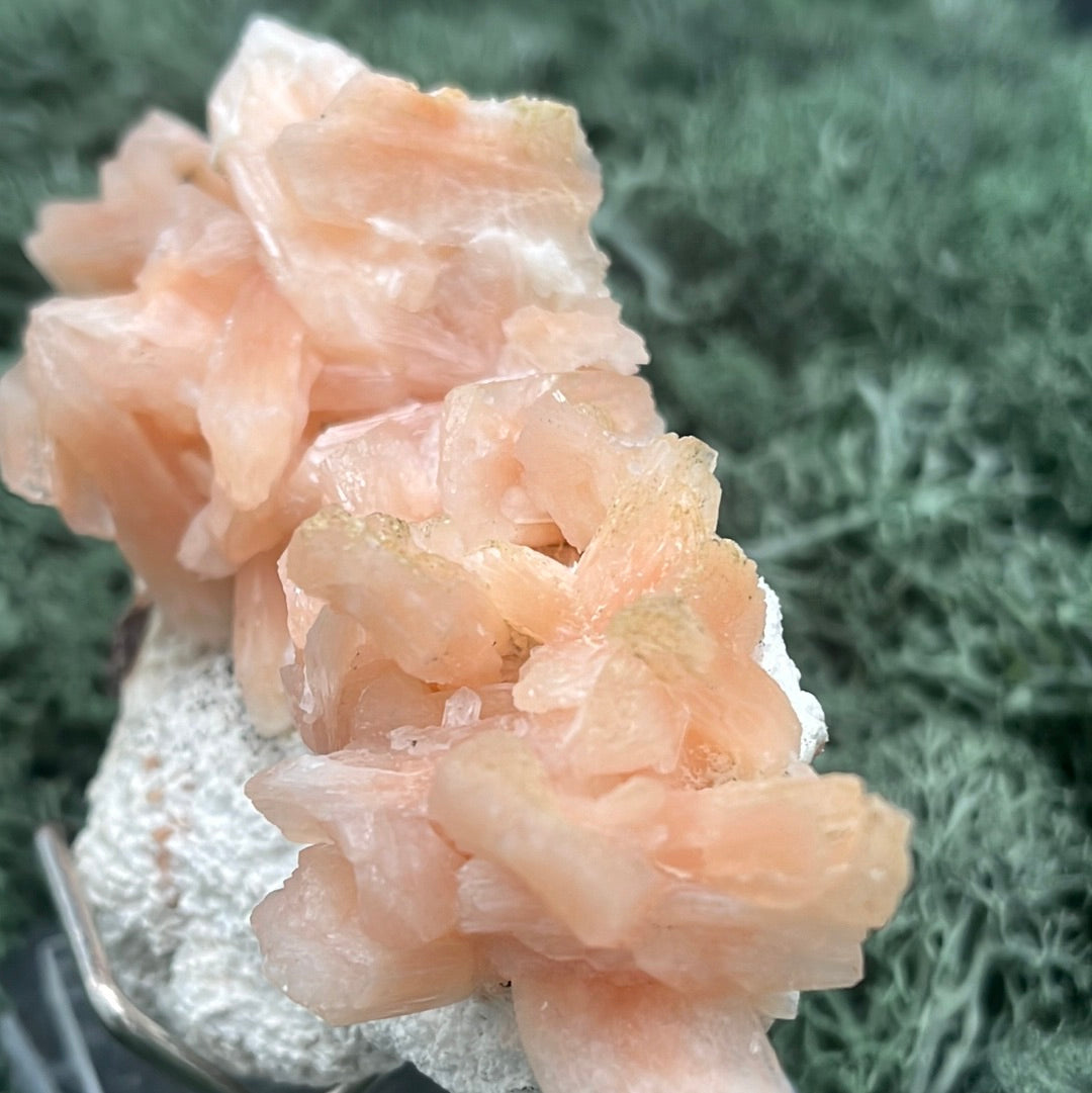 Stilbit Cluster Stufe auf Zeolith aus Indien (113g) - viele grosse Kristalle - crystal paradise