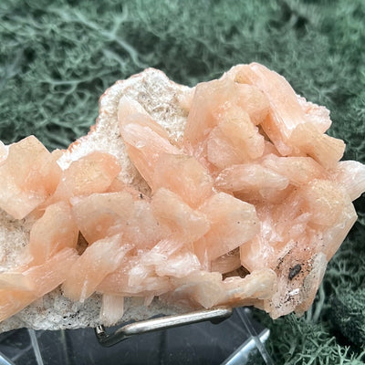 Stilbit Cluster Stufe auf Zeolith aus Indien (77g) - viele grosse Kristalle - crystal paradise