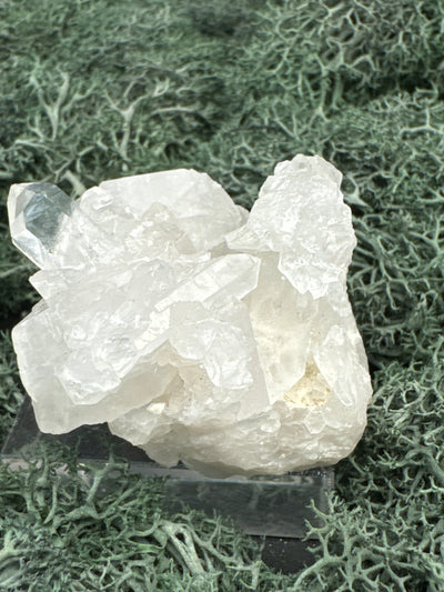 Bergkristall Stufe aus Brasilien (101g) - schönes  Kristallcluster - crystal paradise