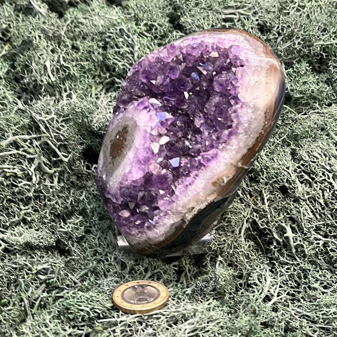 Achatisierter Amethyst Druse aus Uruguay (517g) - schönes violett!