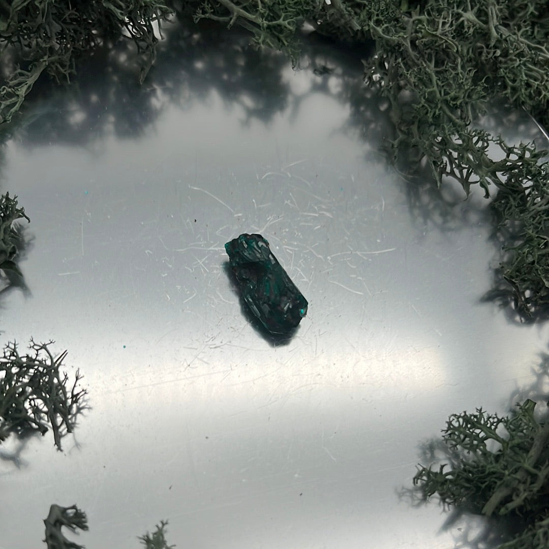Dioptas Kristall ohne Muttergestein aus Mindouli (2g) - exquisites smaragdgrün