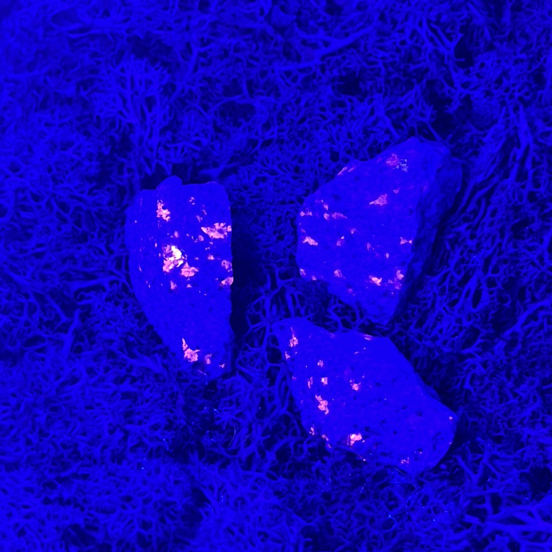 Yooperlit aus Michigan / USA (~10-15g) - "Glowing Rock" - UV reaktiv