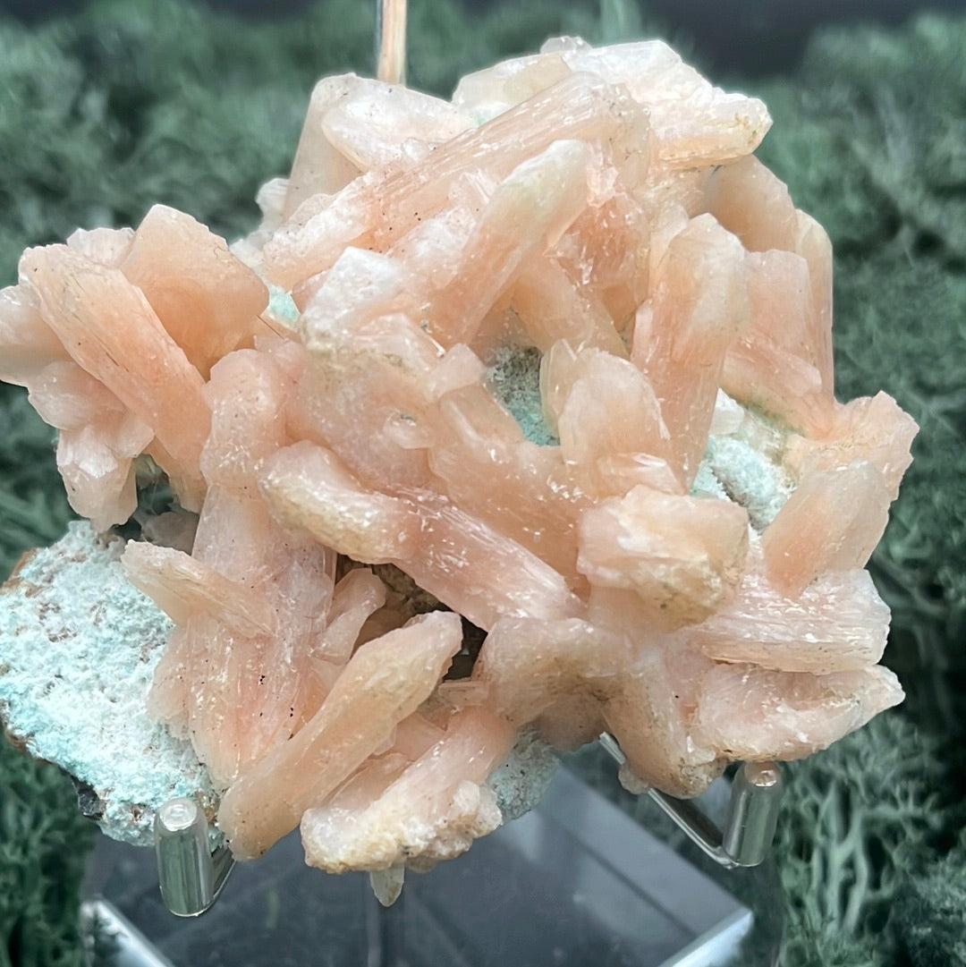 Stilbit Cluster Handstufe auf Zeolith aus Indien (147g) - viele grosse Kristalle - crystal paradise