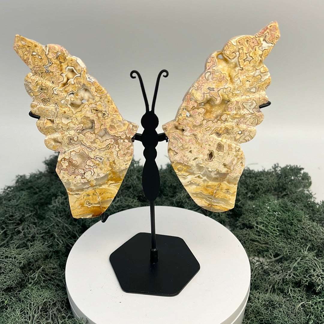 Deko: Schmetterling auf schwarzem Standfuss aus Goldener Cracy Lace Achat