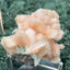 Stilbit Cluster Handstufe auf Zeolith aus Indien (141g) - viele grosse Kristalle - crystal paradise