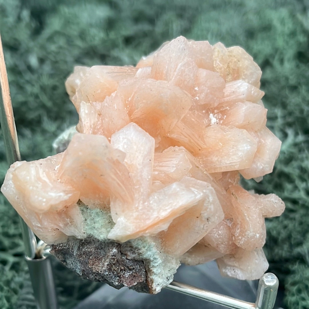 Stilbit Cluster Handstufe auf Zeolith aus Indien (141g) - viele grosse Kristalle - crystal paradise