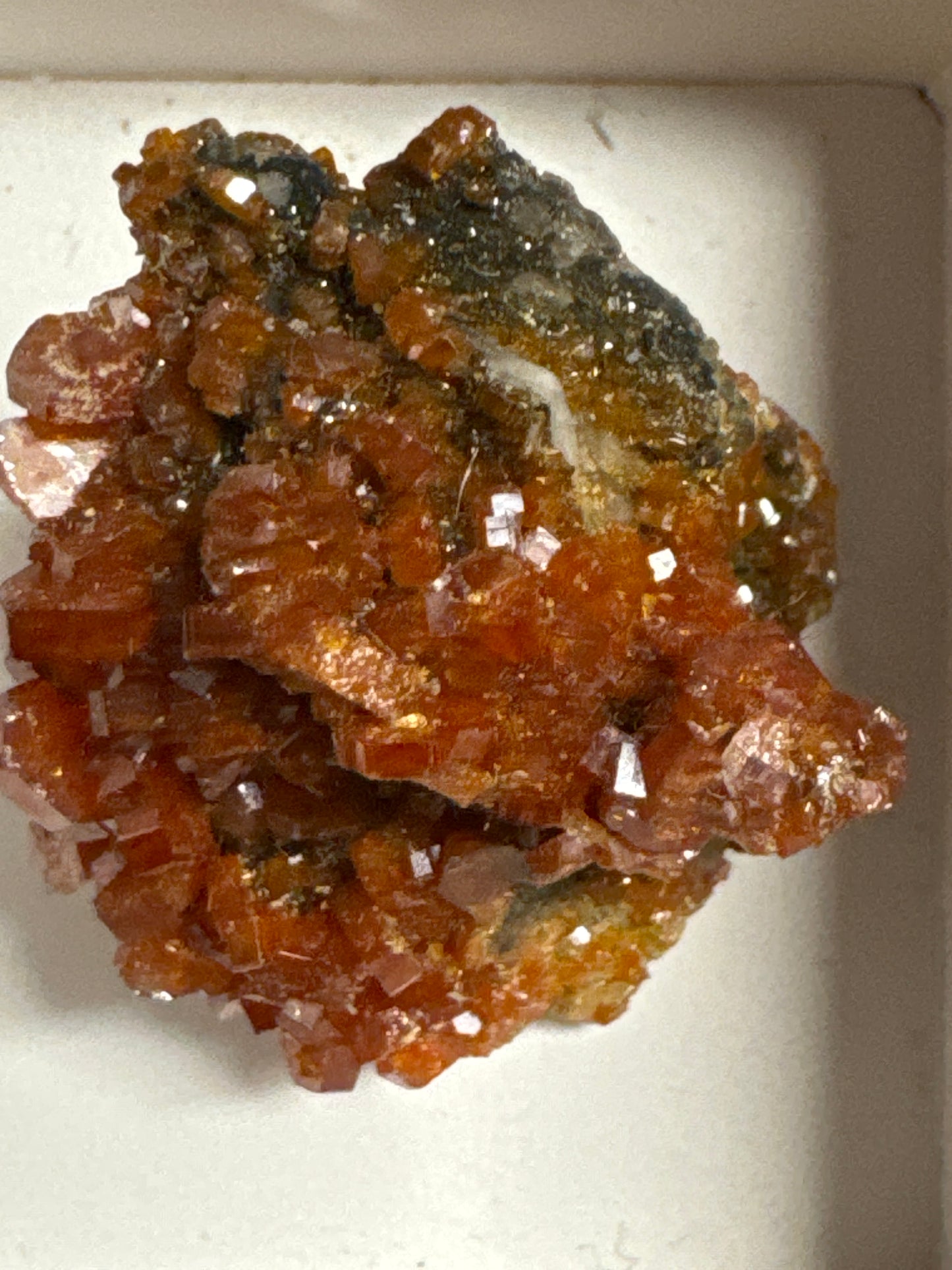 Vanadenit Stufe aus Marokko (19g) - super schöne rote Kristalle - crystal paradise