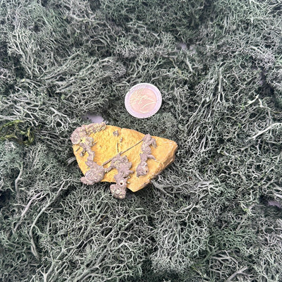 Pyrit auf gelber Matrix aus Mansehra / Pakistan (99g) - crystal paradise