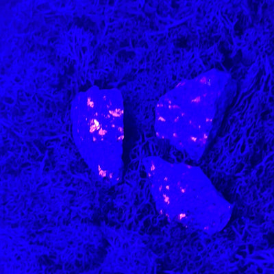 Yooperlit aus Michigan / USA (~10-15g) - "Glowing Rock" - UV reaktiv - crystal paradise