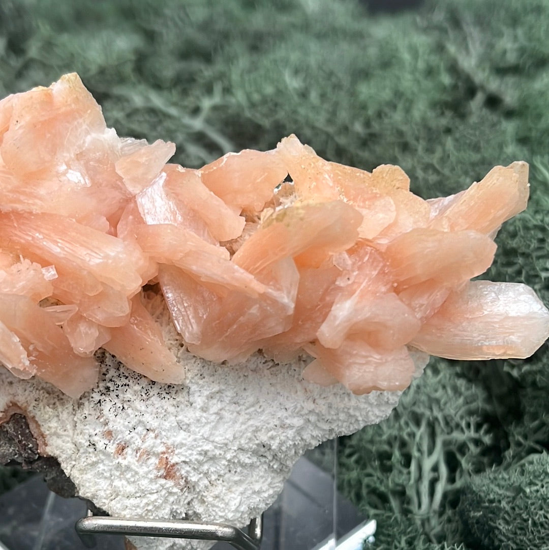 Stilbit Cluster Stufe auf Zeolith aus Indien (113g) - viele grosse Kristalle - crystal paradise