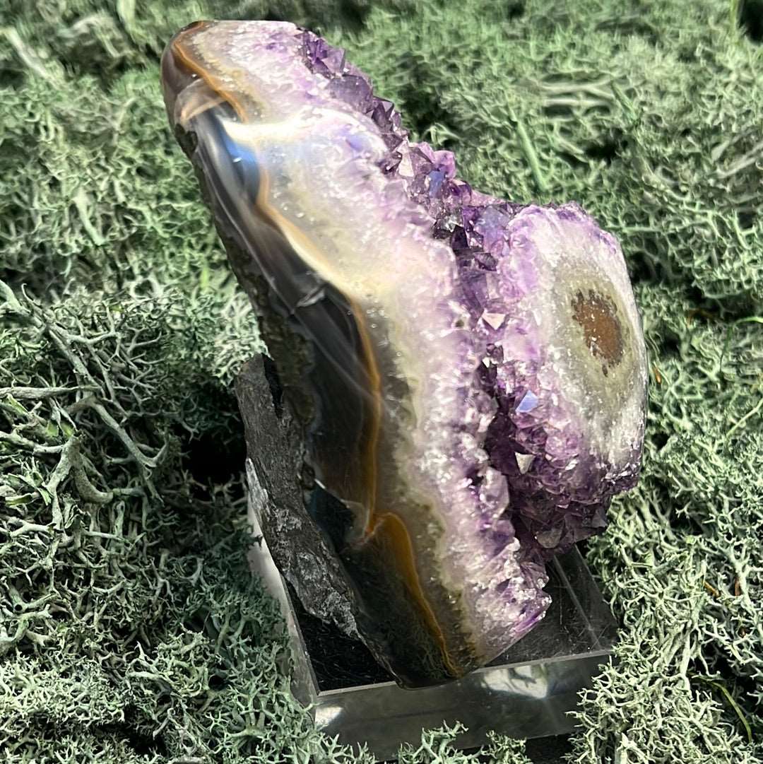 Achatisierter Amethyst Druse aus Uruguay (517g) - schönes violett!