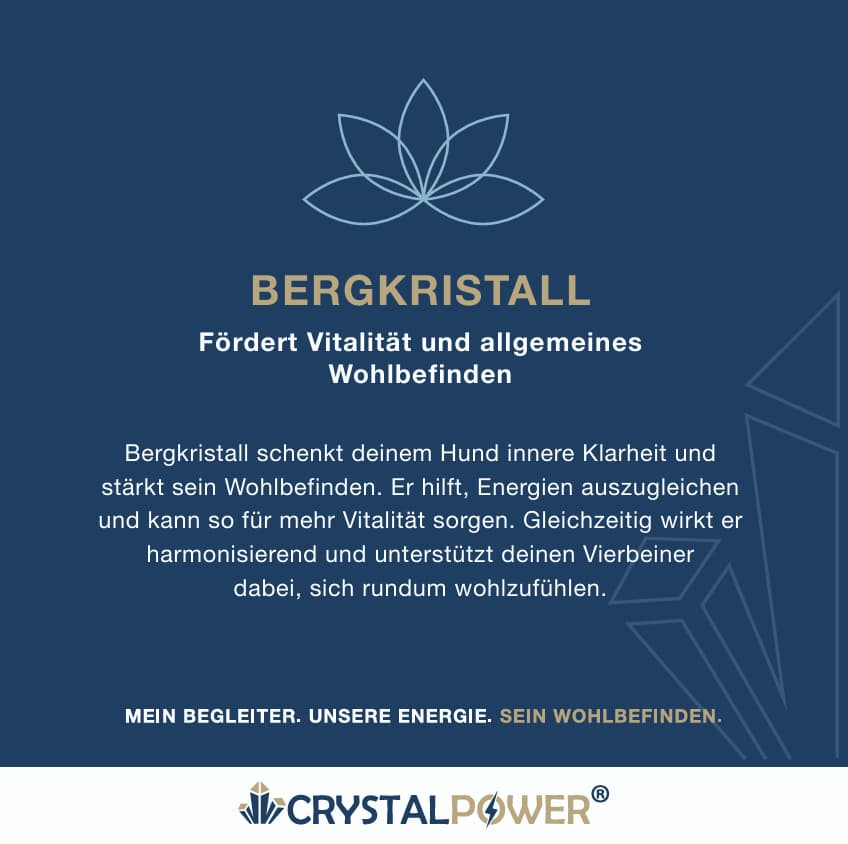 Bergkristall – fördert Vitalität und allgemeines Wohlbefinden - Hundehalsband crystalpower® - crystal paradise