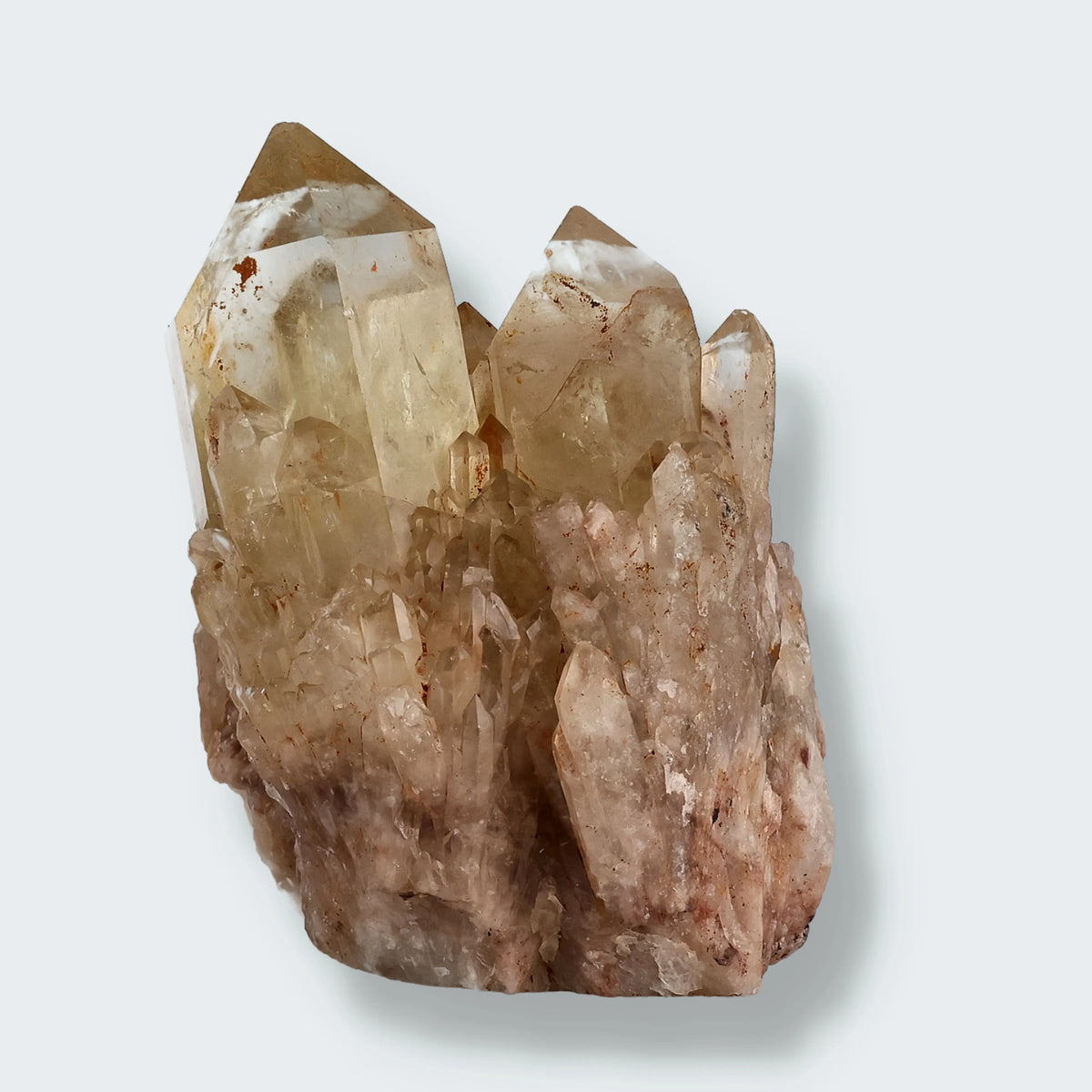 Citrin Stufe aus Kundalini, Kongo (235g) - unbehandelt