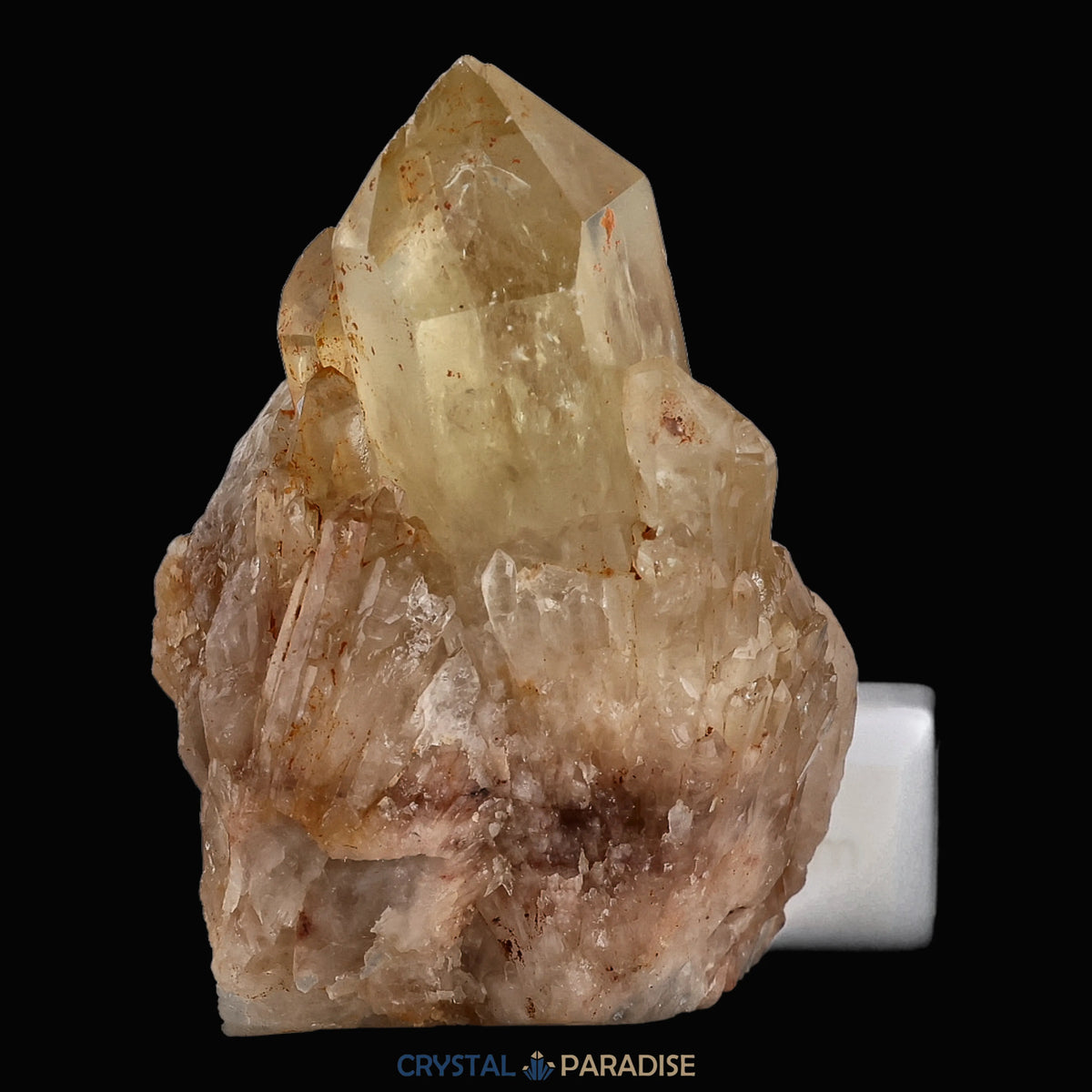 Citrin Stufe aus Kundalini, Kongo (235g) - unbehandelt