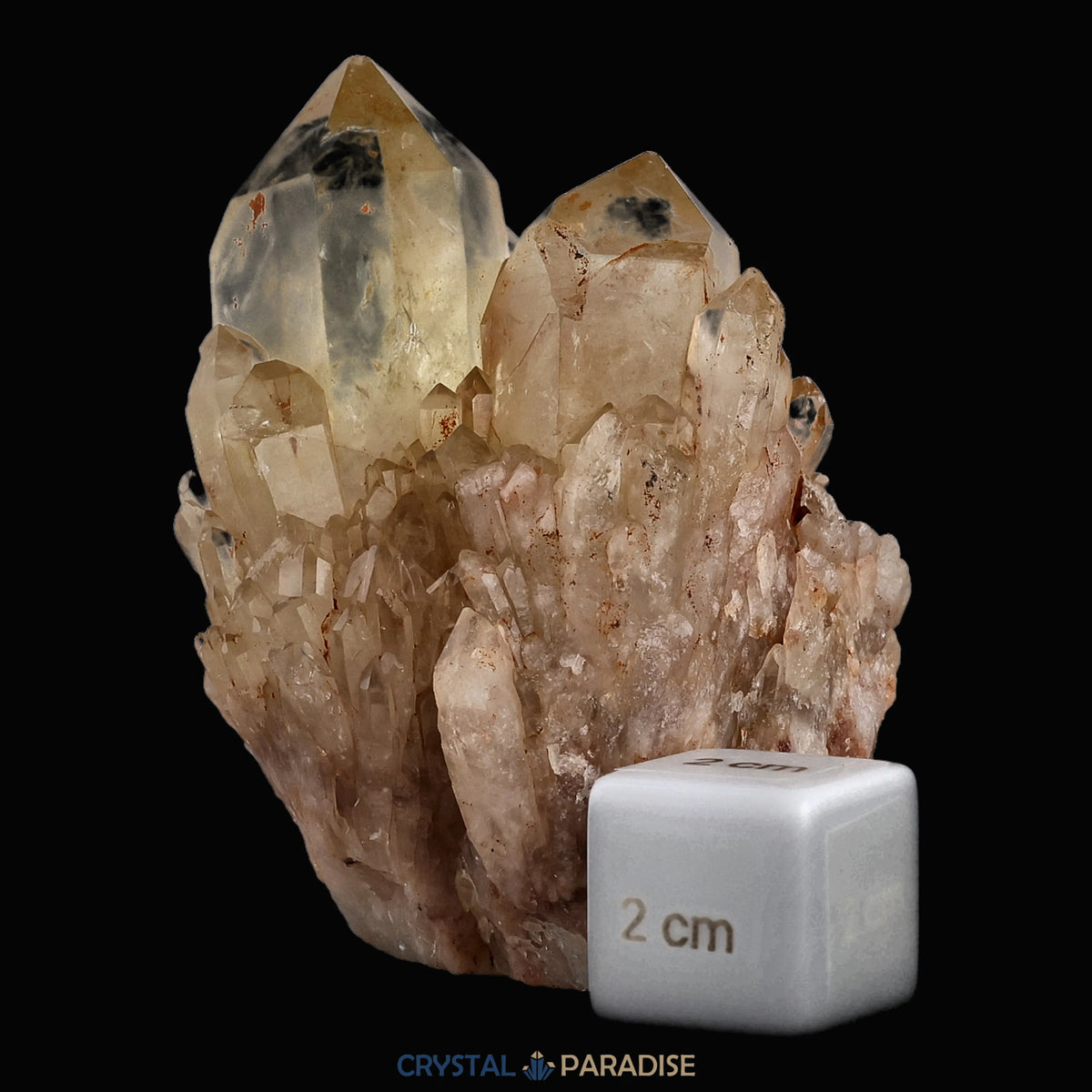 Citrin Stufe aus Kundalini, Kongo (235g) - unbehandelt