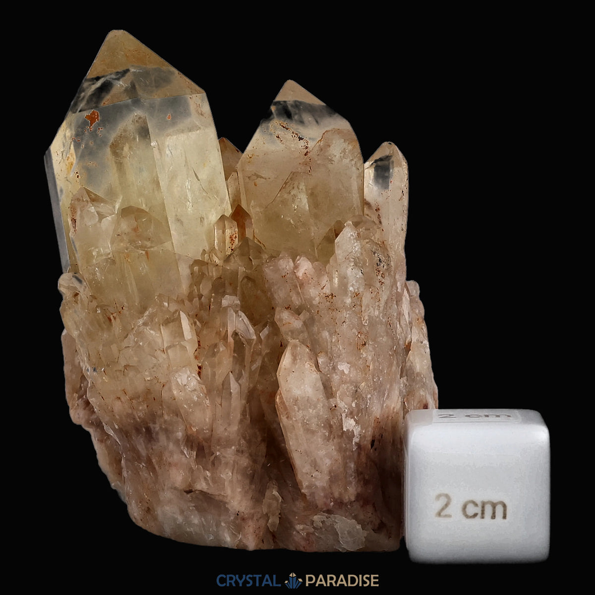 Citrin Stufe aus Kundalini, Kongo (235g) - unbehandelt