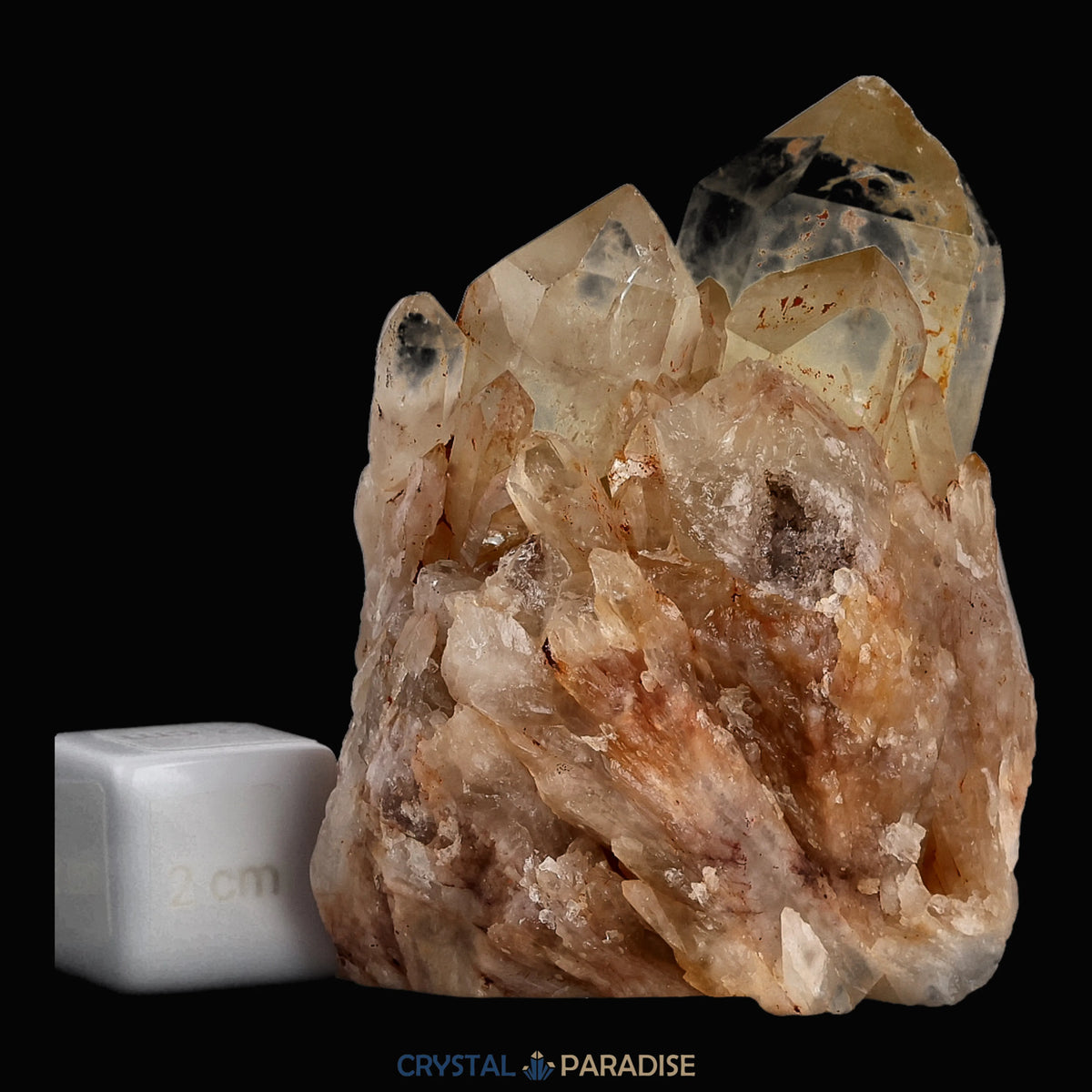 Citrin Stufe aus Kundalini, Kongo (235g) - unbehandelt