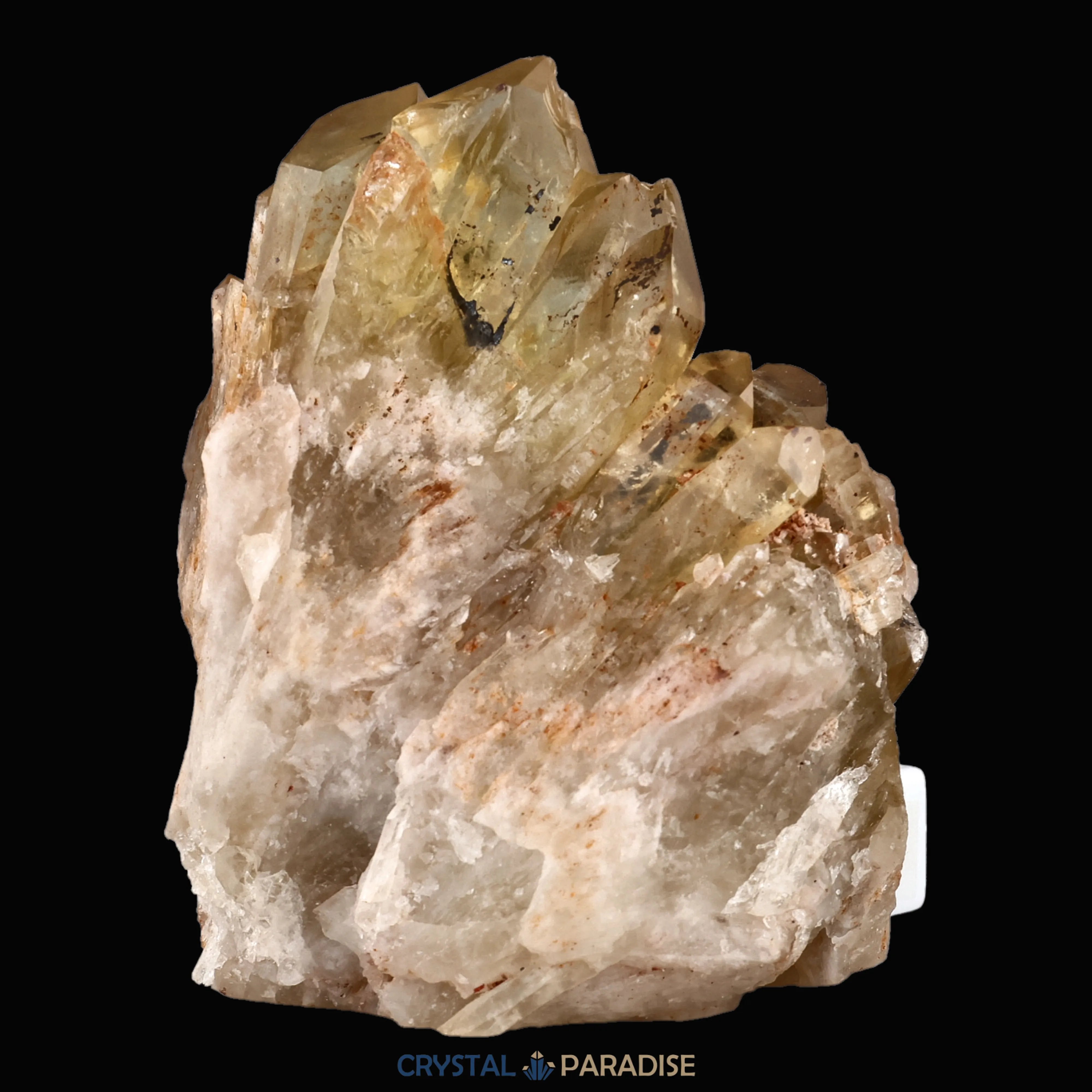 Citrin aus Kundalini, Kongo (1047g)