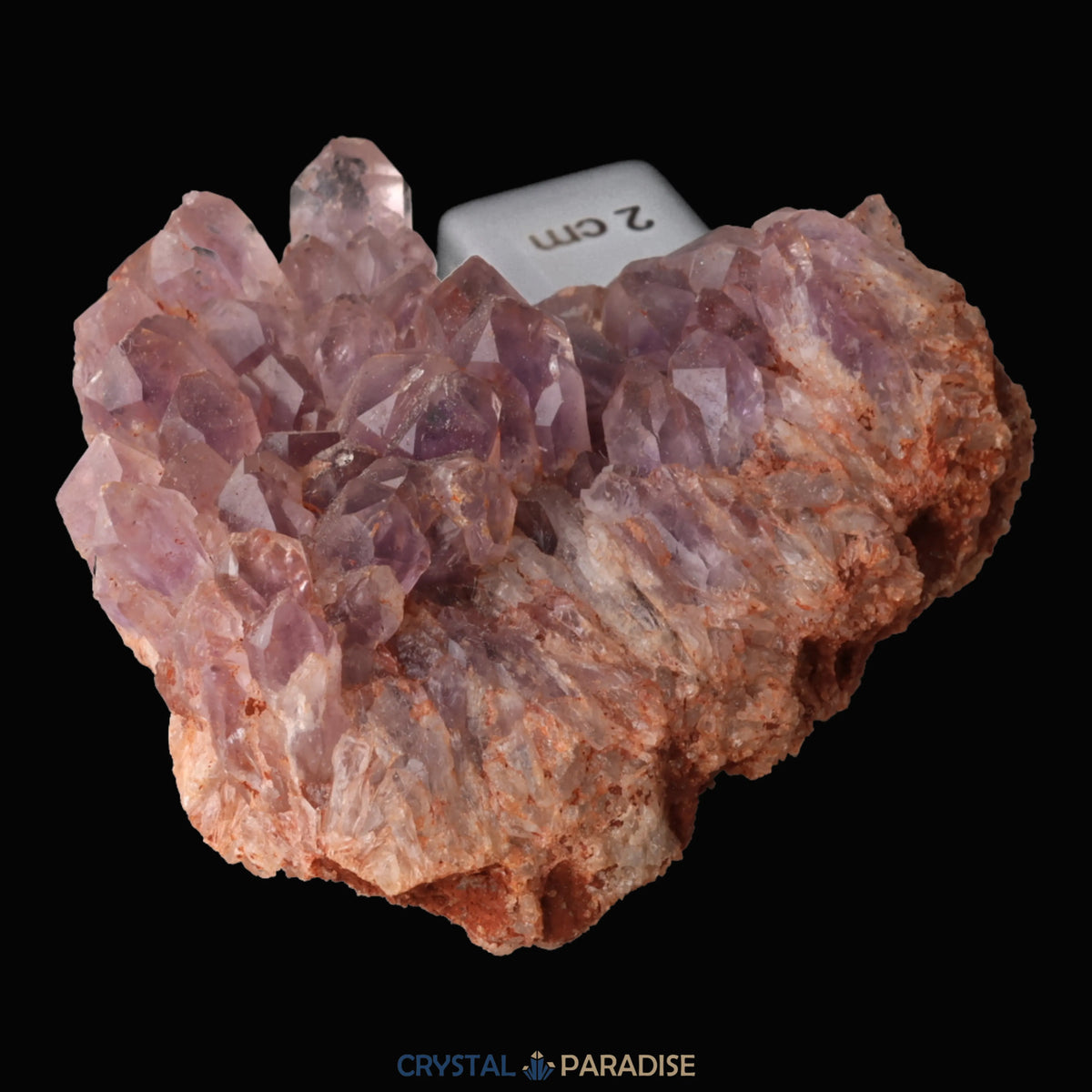 Cloudy Amethyst aus Sambia